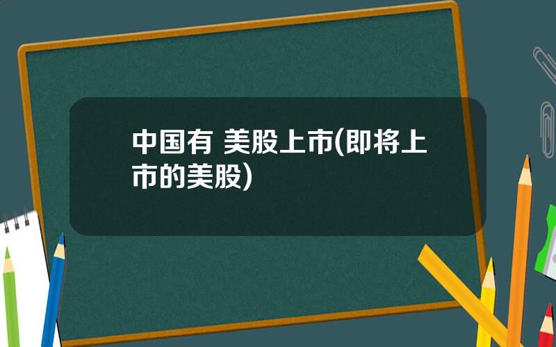 中国有 美股上市(即将上市的美股)